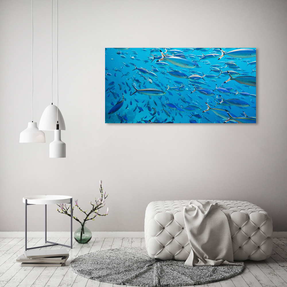 Glass art print Coral fish