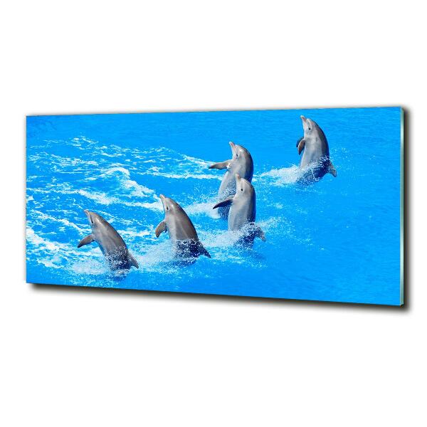 Glass art picture Dolphins