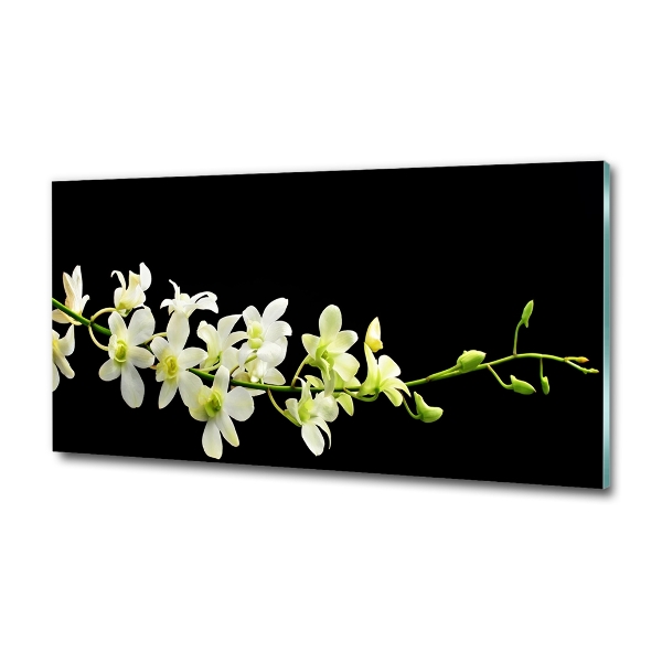 Photo printed on glass Orchid