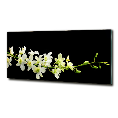 Photo printed on glass Orchid