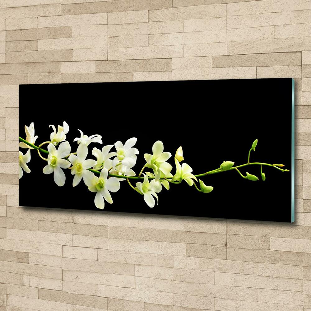 Photo printed on glass Orchid