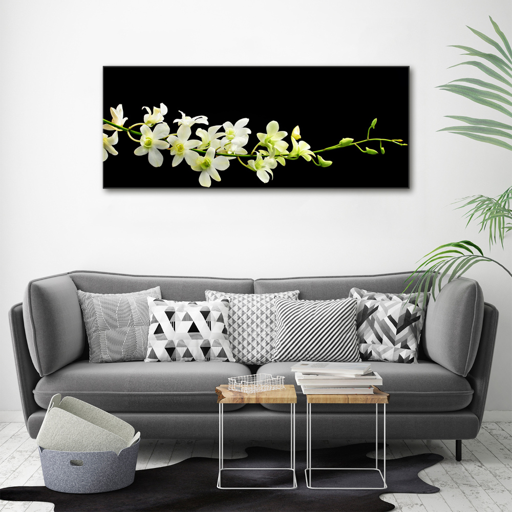 Photo printed on glass Orchid