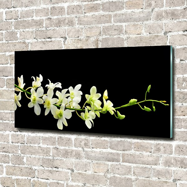 Photo printed on glass Orchid