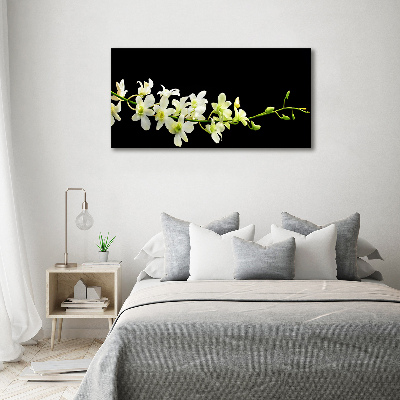 Photo printed on glass Orchid