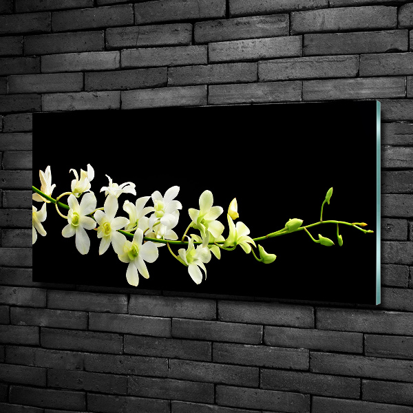 Photo printed on glass Orchid