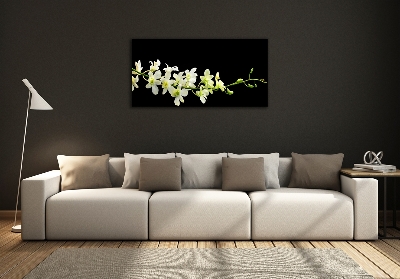 Photo printed on glass Orchid