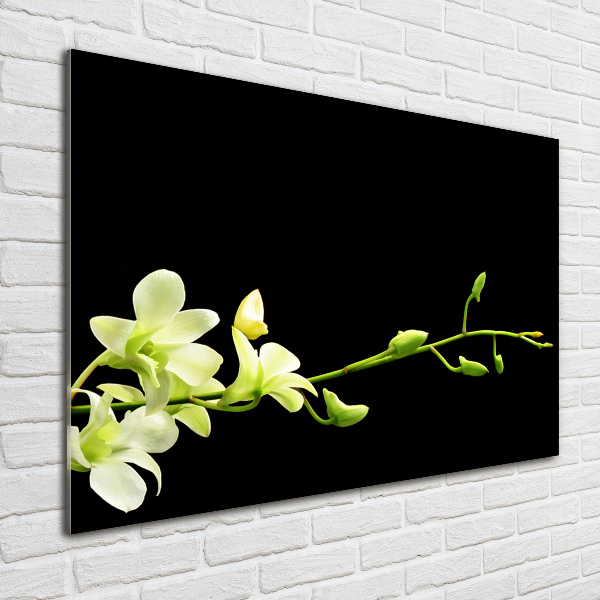 Photo printed on glass Orchid