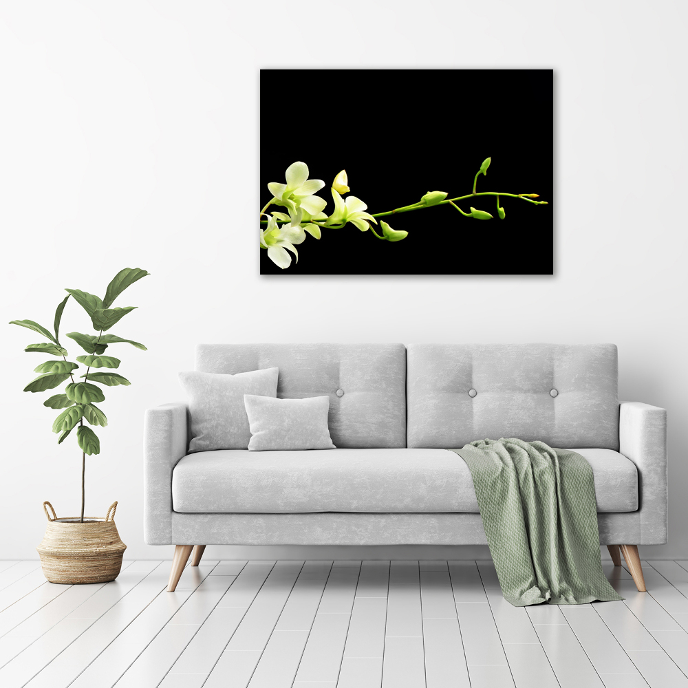 Photo printed on glass Orchid