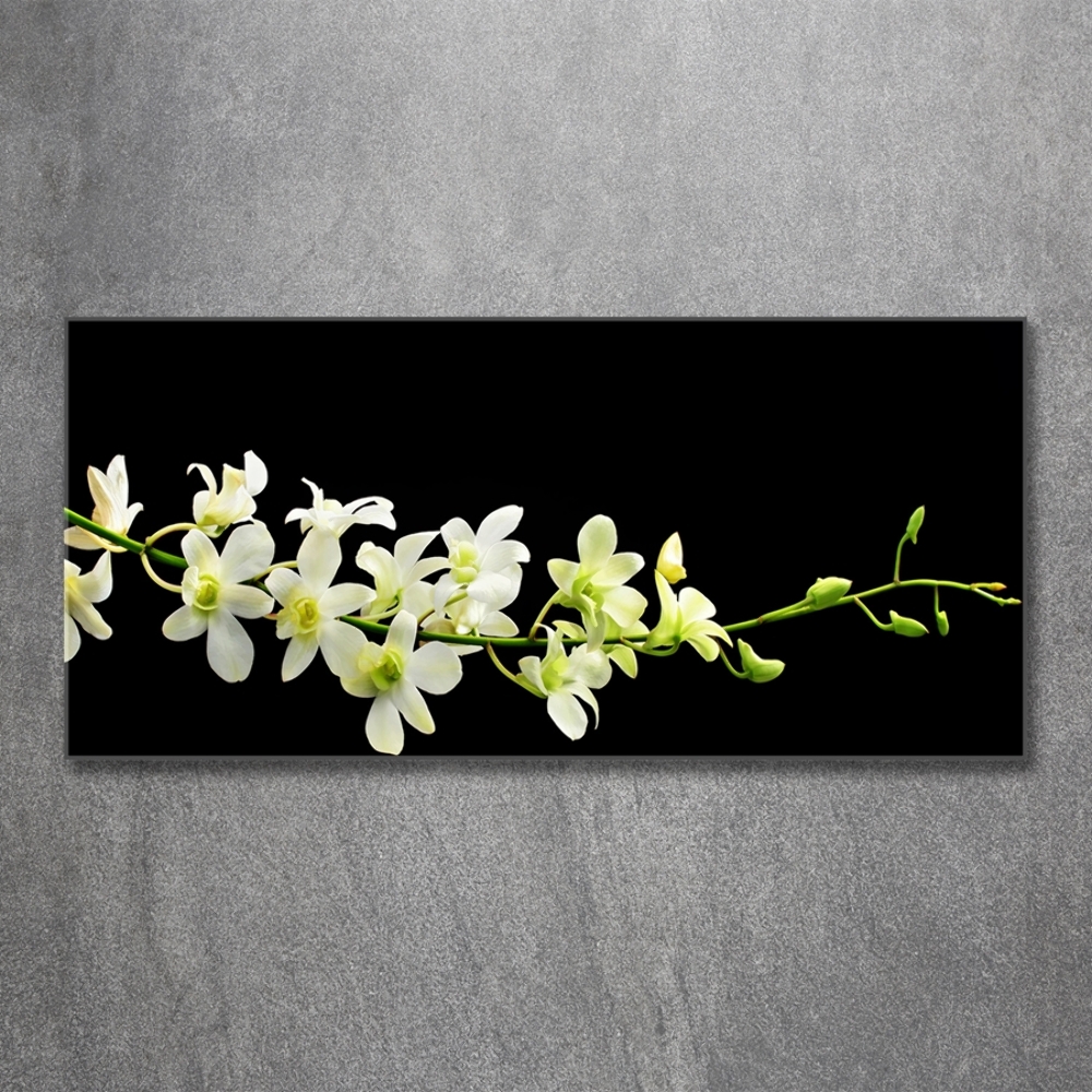 Photo printed on glass Orchid