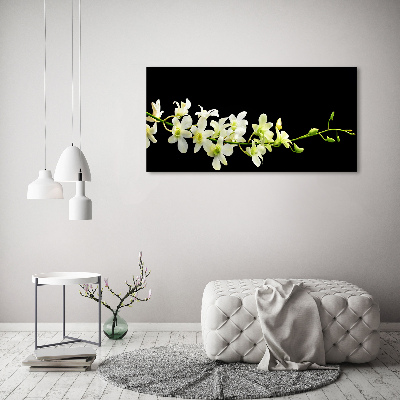 Photo printed on glass Orchid