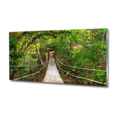 Glass picture wall art Rope bridge