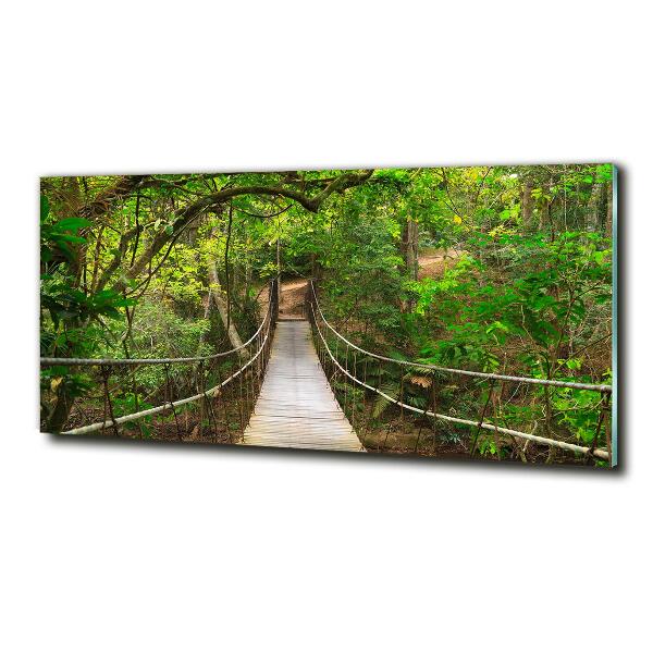 Glass picture wall art Rope bridge