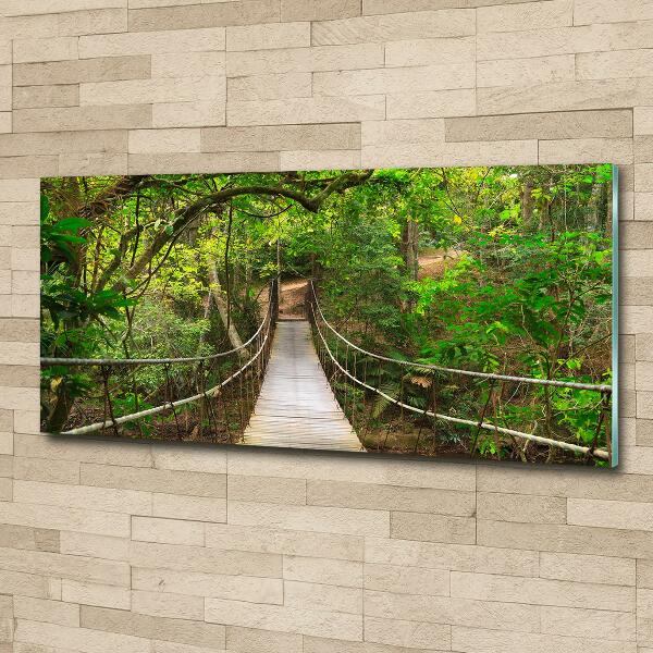 Glass picture wall art Rope bridge