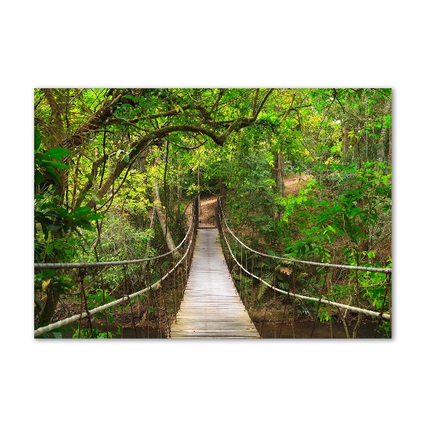 Glass picture wall art Rope bridge