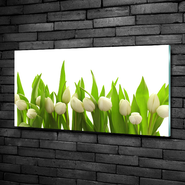 Photo printed on glass White tulips