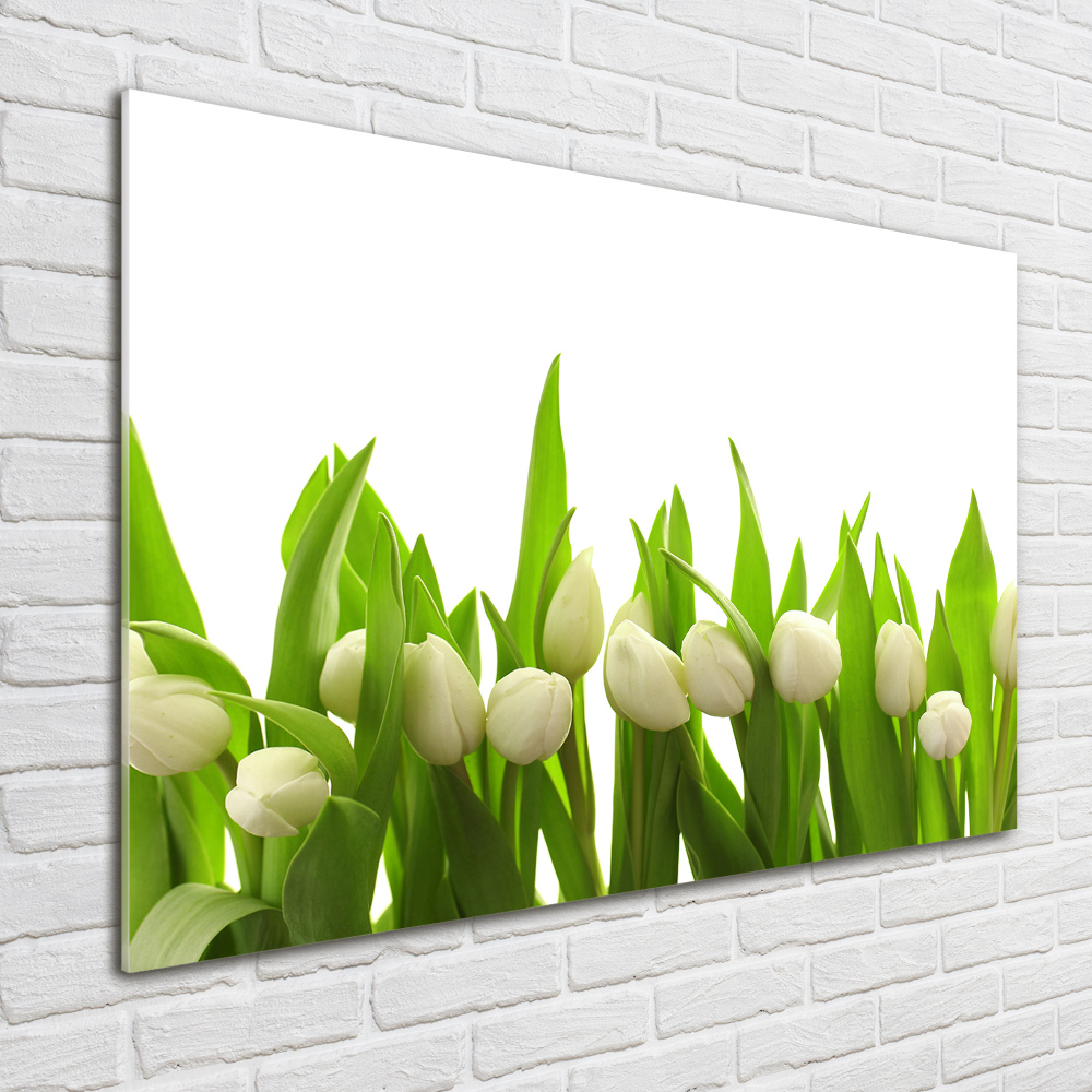 Photo printed on glass White tulips