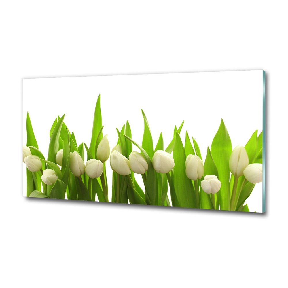 Photo printed on glass White tulips