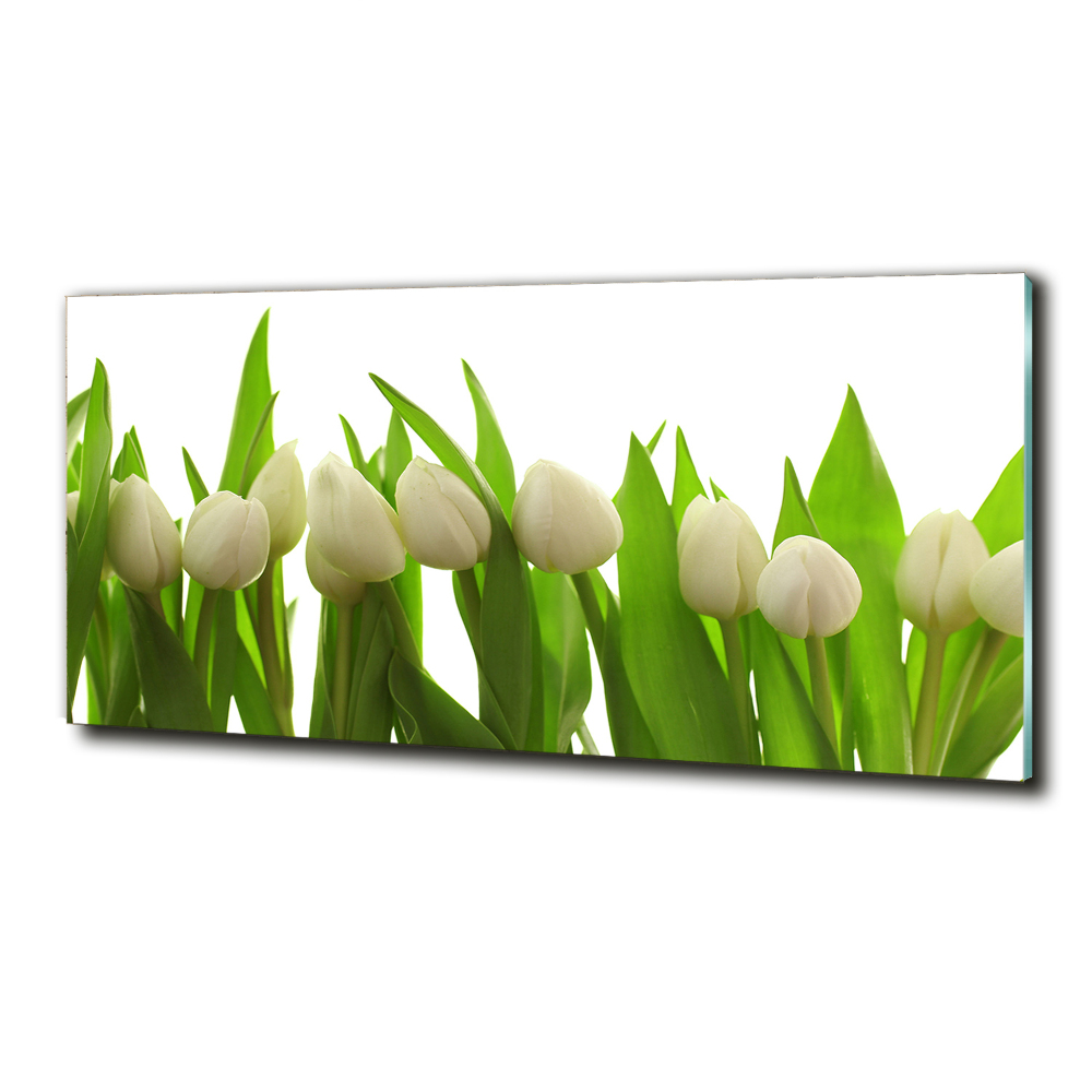 Photo printed on glass White tulips