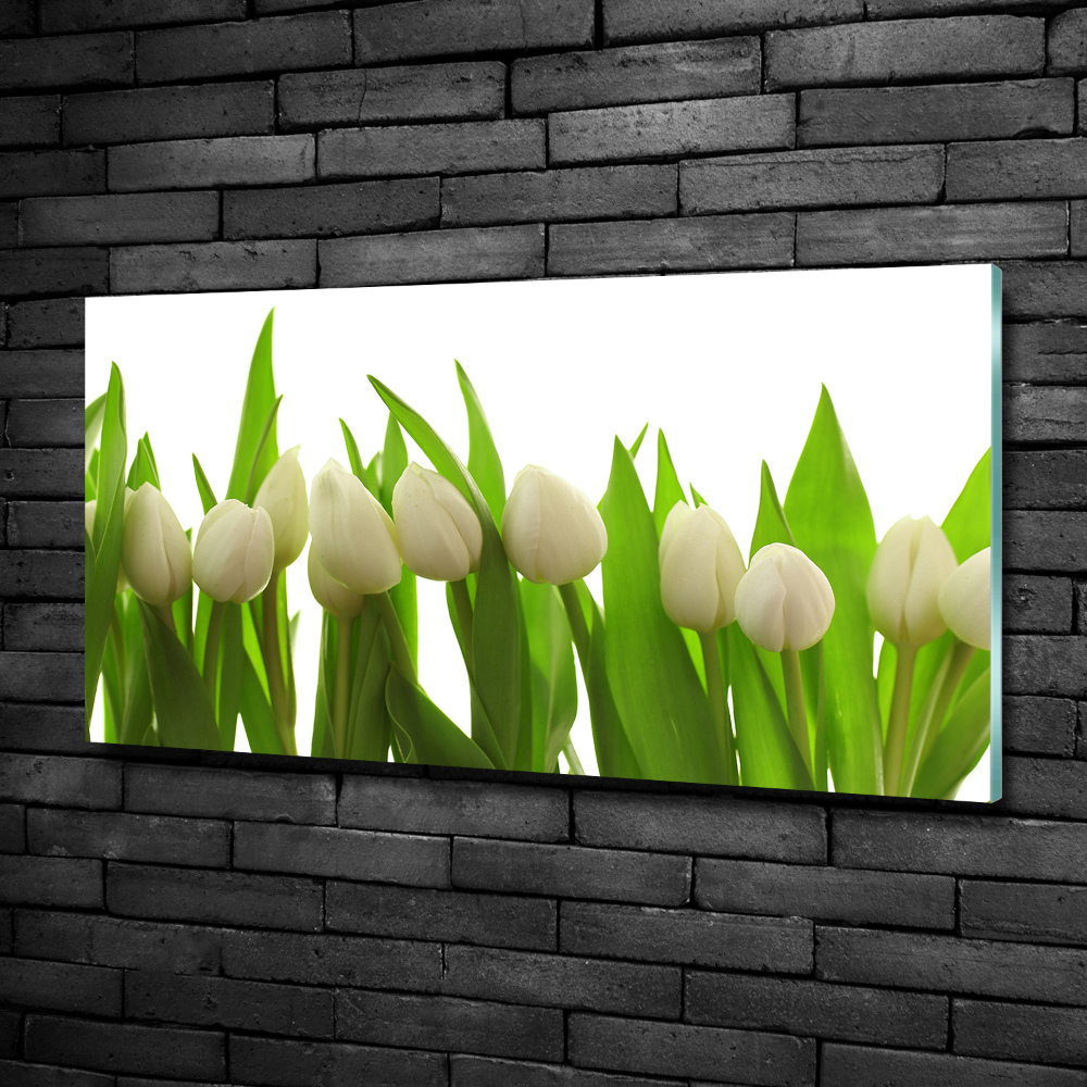 Photo printed on glass White tulips