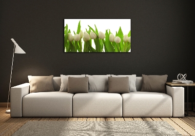 Photo printed on glass White tulips