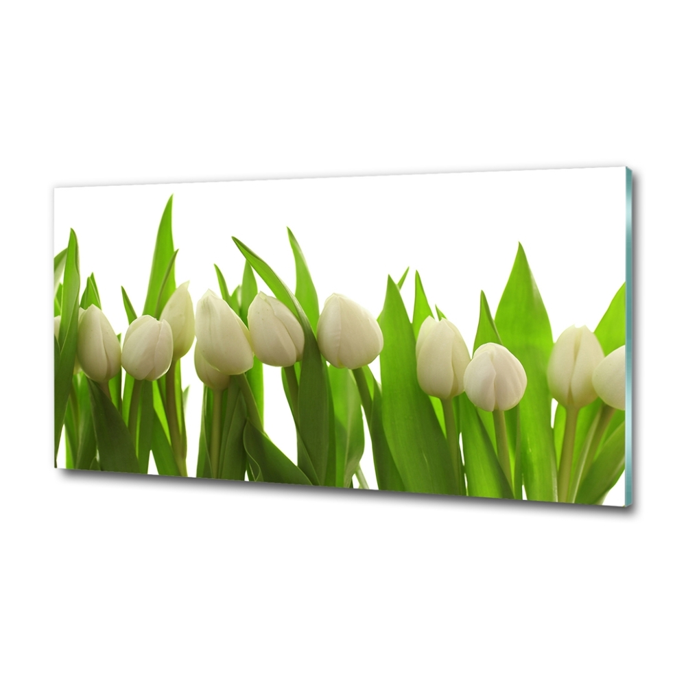 Photo printed on glass White tulips