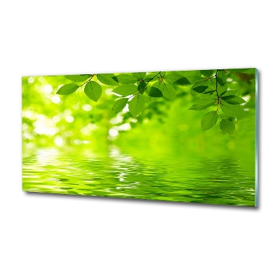 Glass art picture Green leaves