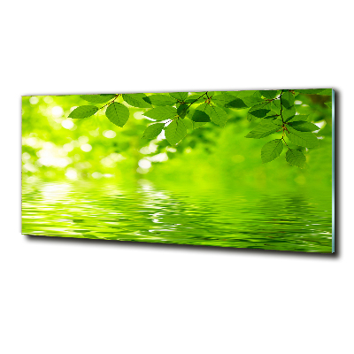 Glass art picture Green leaves