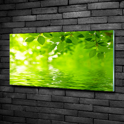 Glass art picture Green leaves