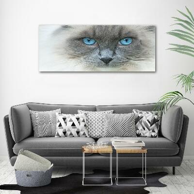 Glass art picture Cat blue eyes