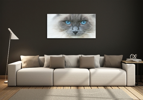 Glass art picture Cat blue eyes