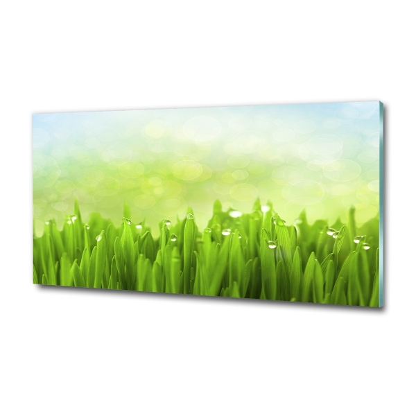 Grass