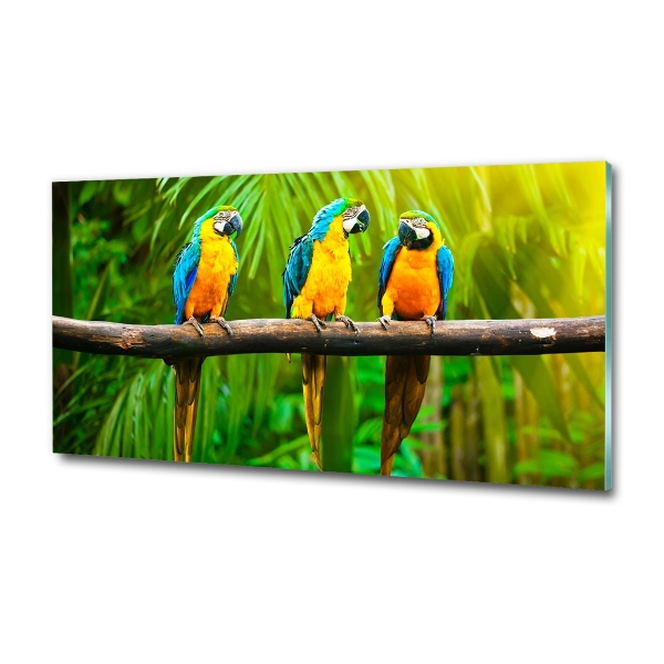 Glass art picture Parrots on a branch