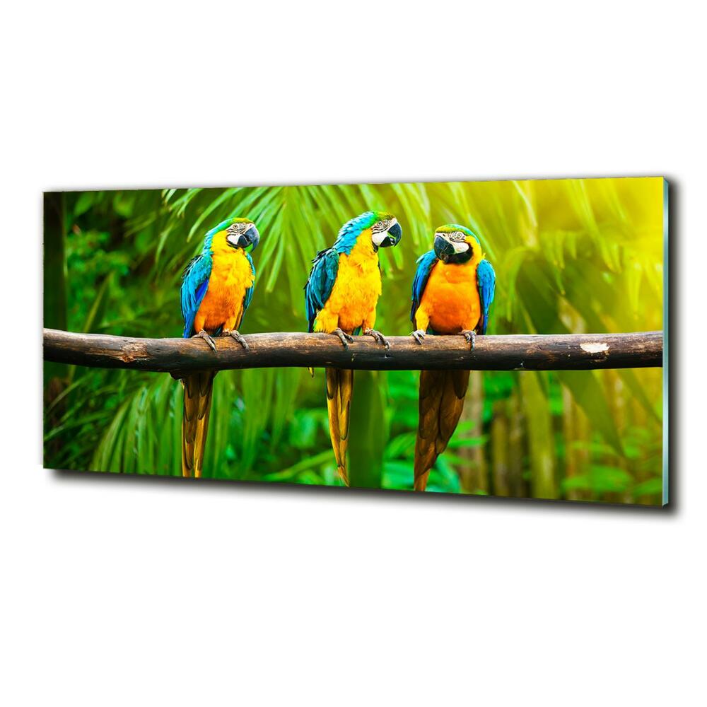 Glass art picture Parrots on a branch