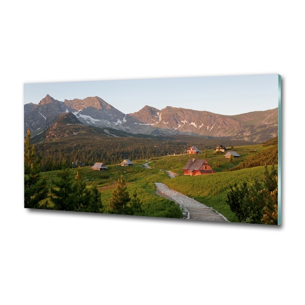 Glass picture wall art Glade in the tatra mountains