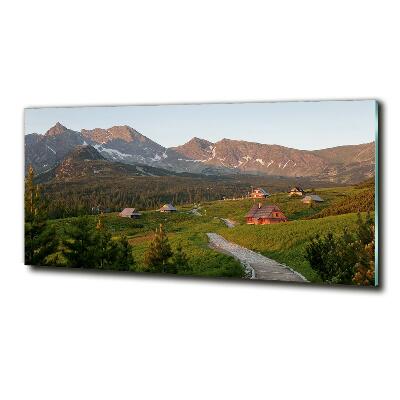 Glass picture wall art Glade in the tatra mountains