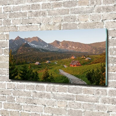 Glass picture wall art Glade in the tatra mountains