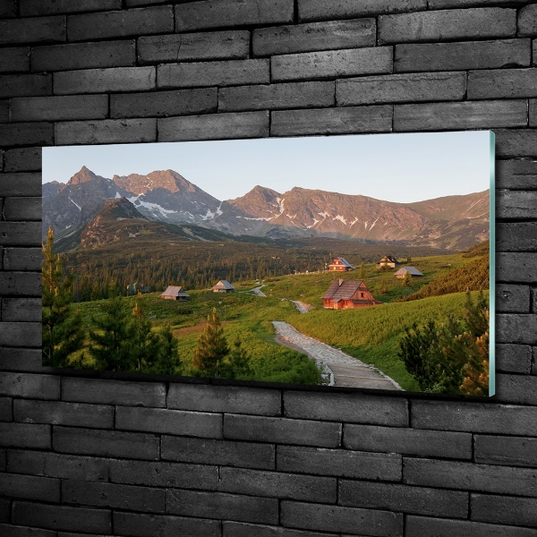 Glass picture wall art Glade in the tatra mountains