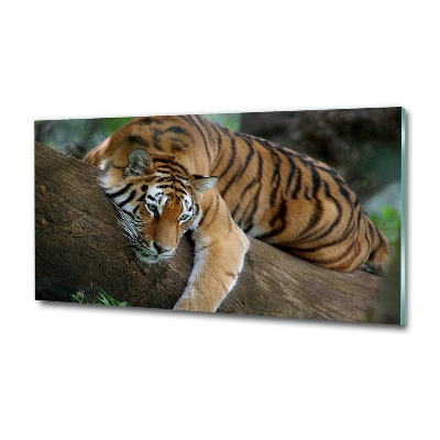 Glass art picture Tiger on a tree