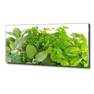 Glass wall art Herbs