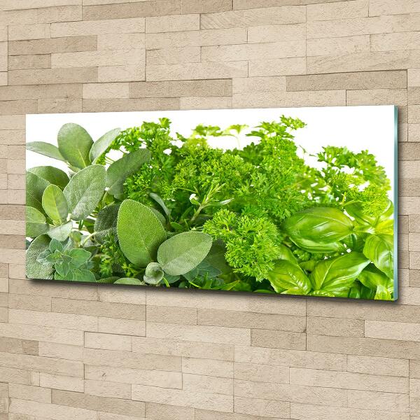 Glass wall art Herbs