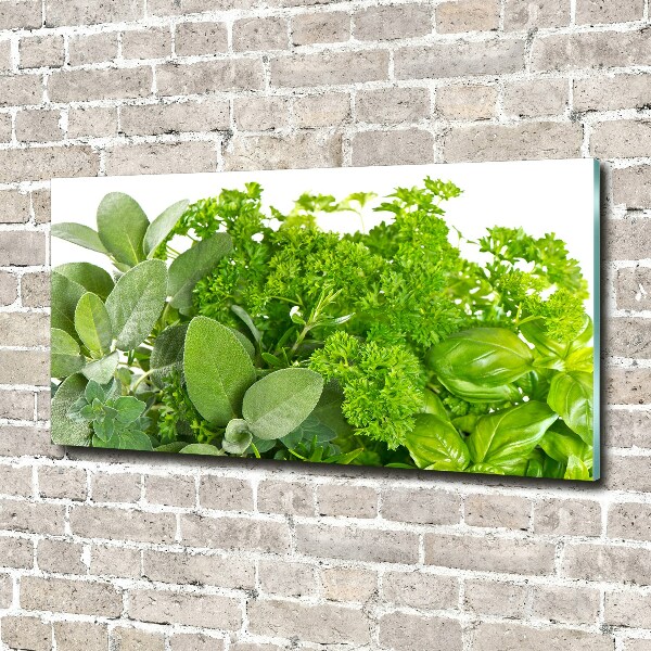 Glass wall art Herbs