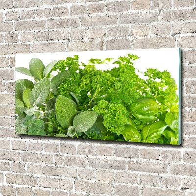 Glass wall art Herbs