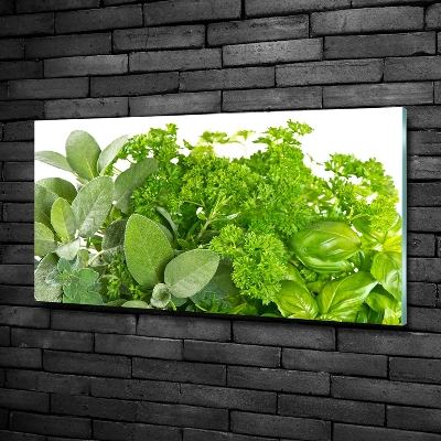 Glass wall art Herbs