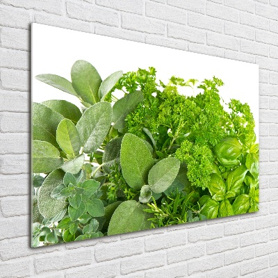 Glass wall art Herbs