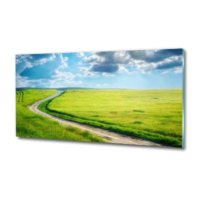 Printed glass wall art Path in the meadow