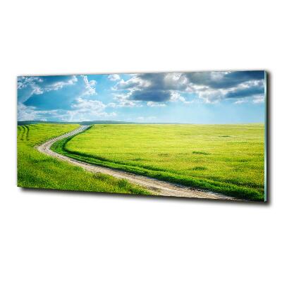 Printed glass wall art Path in the meadow