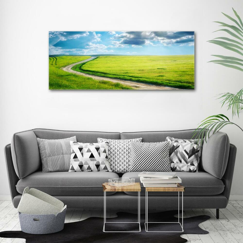 Printed glass wall art Path in the meadow