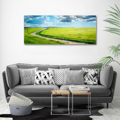 Printed glass wall art Path in the meadow