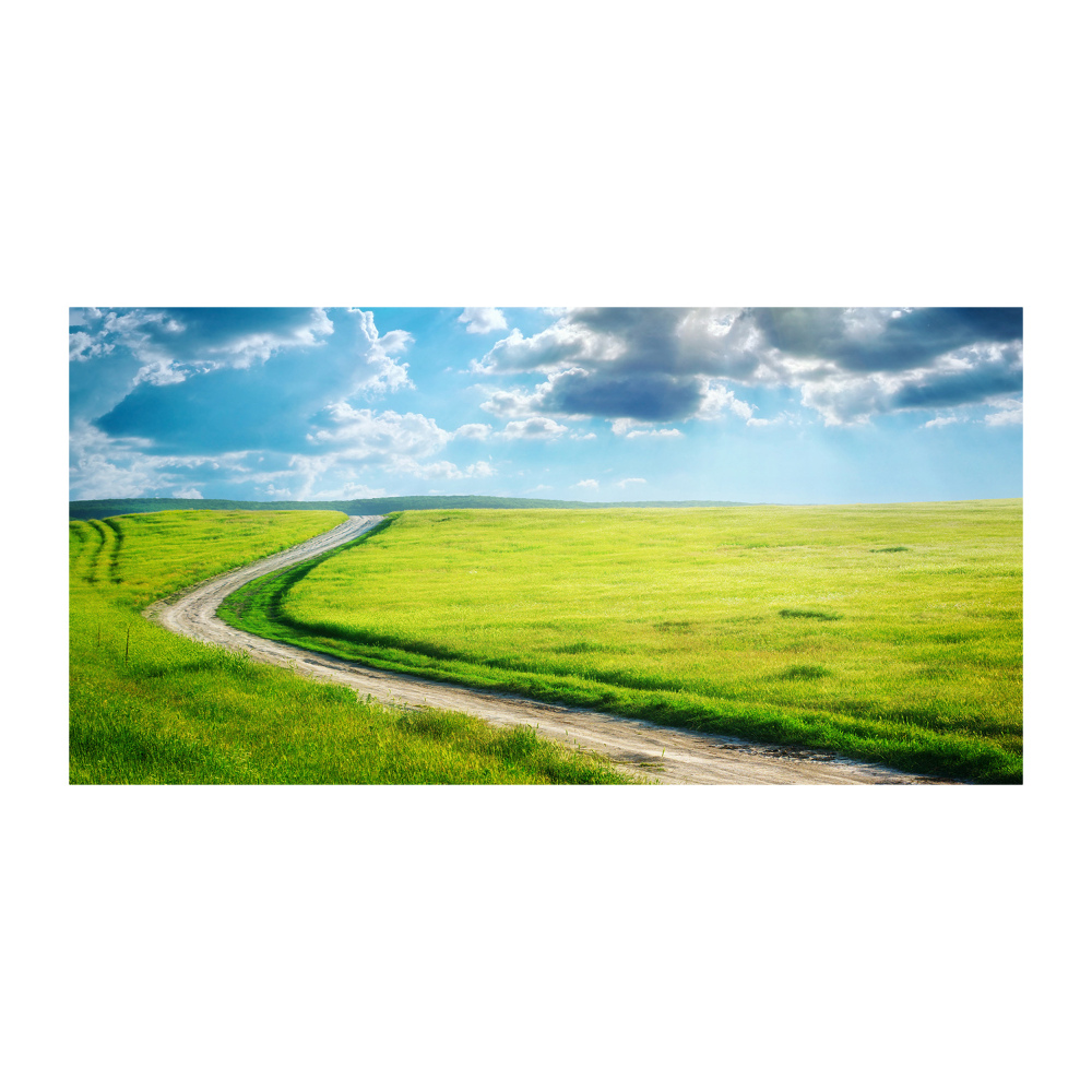 Printed glass wall art Path in the meadow