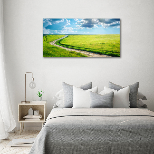 Printed glass wall art Path in the meadow